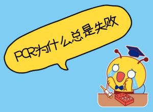 PCR為什么總是失敗？——5個(gè)常見(jiàn)原因與解決辦法